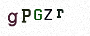 Visual Confirmation Security Code