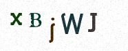 Visual Confirmation Security Code
