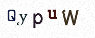 Visual Confirmation Security Code